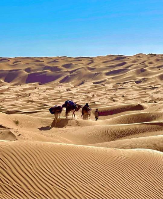 Grand Sud, La Maison De Sable Douz Esterno foto